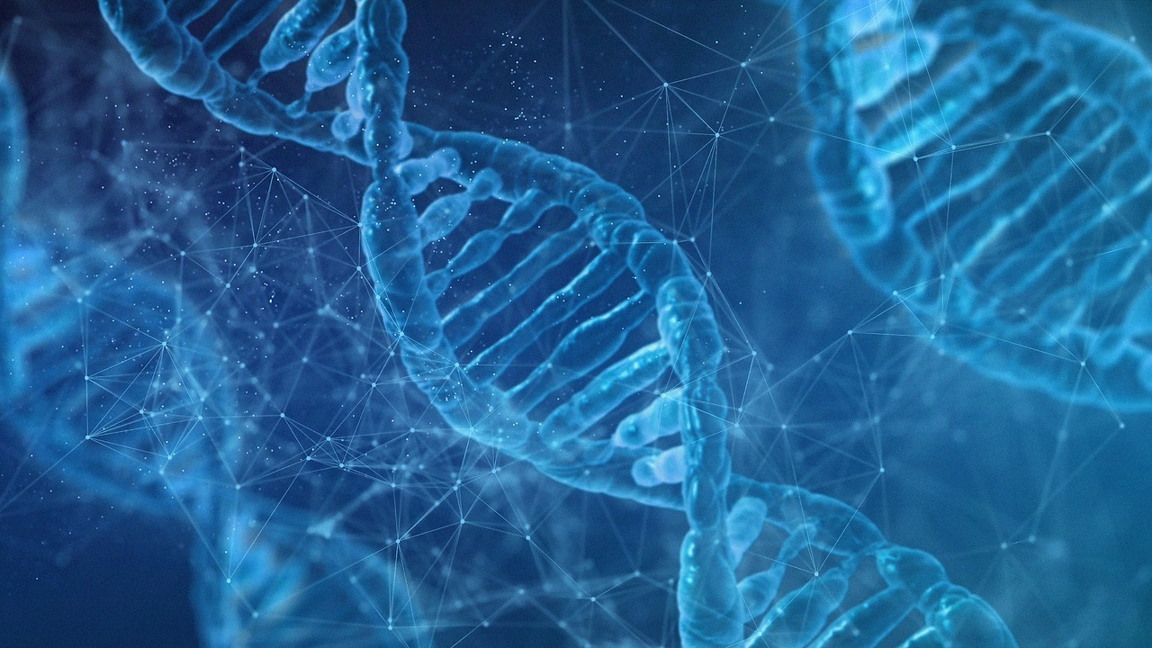 Image of DNA