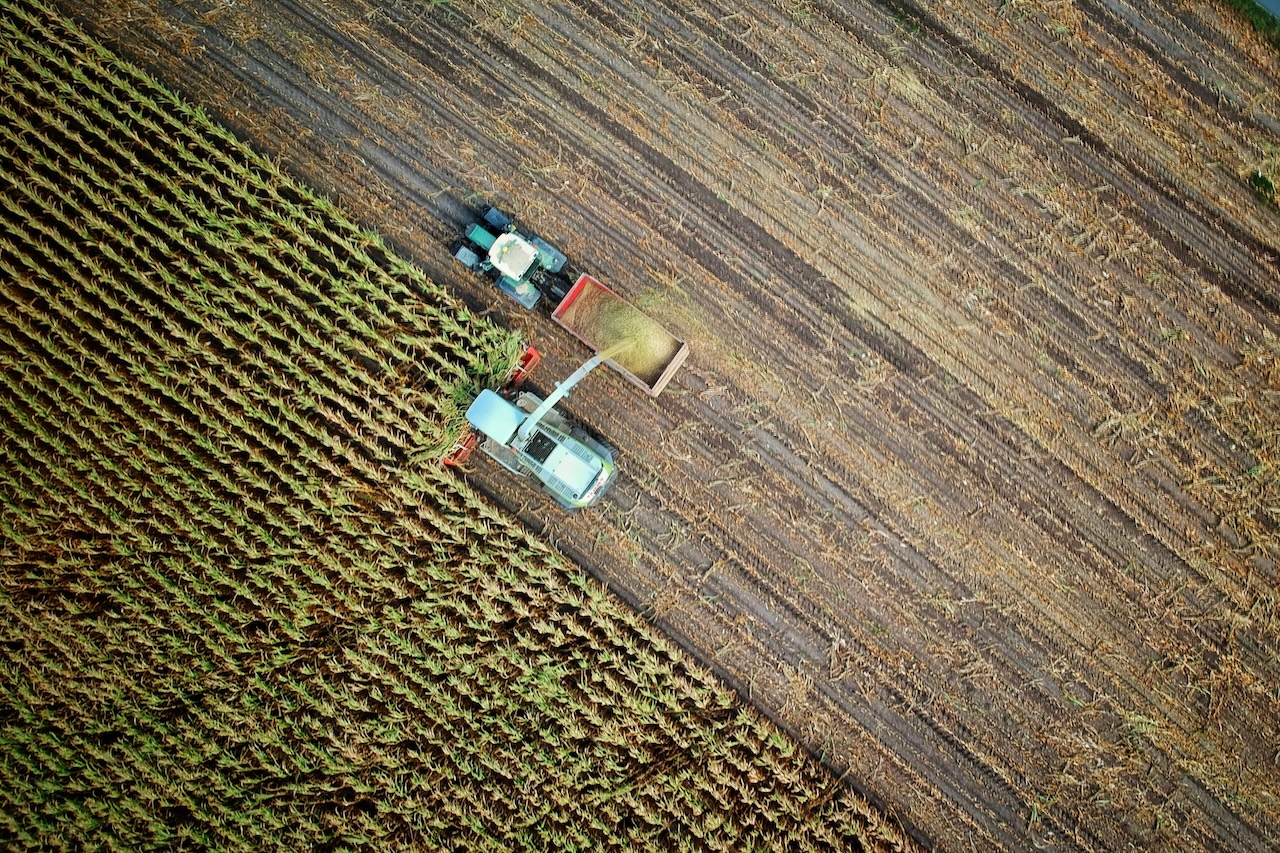 Image of the field