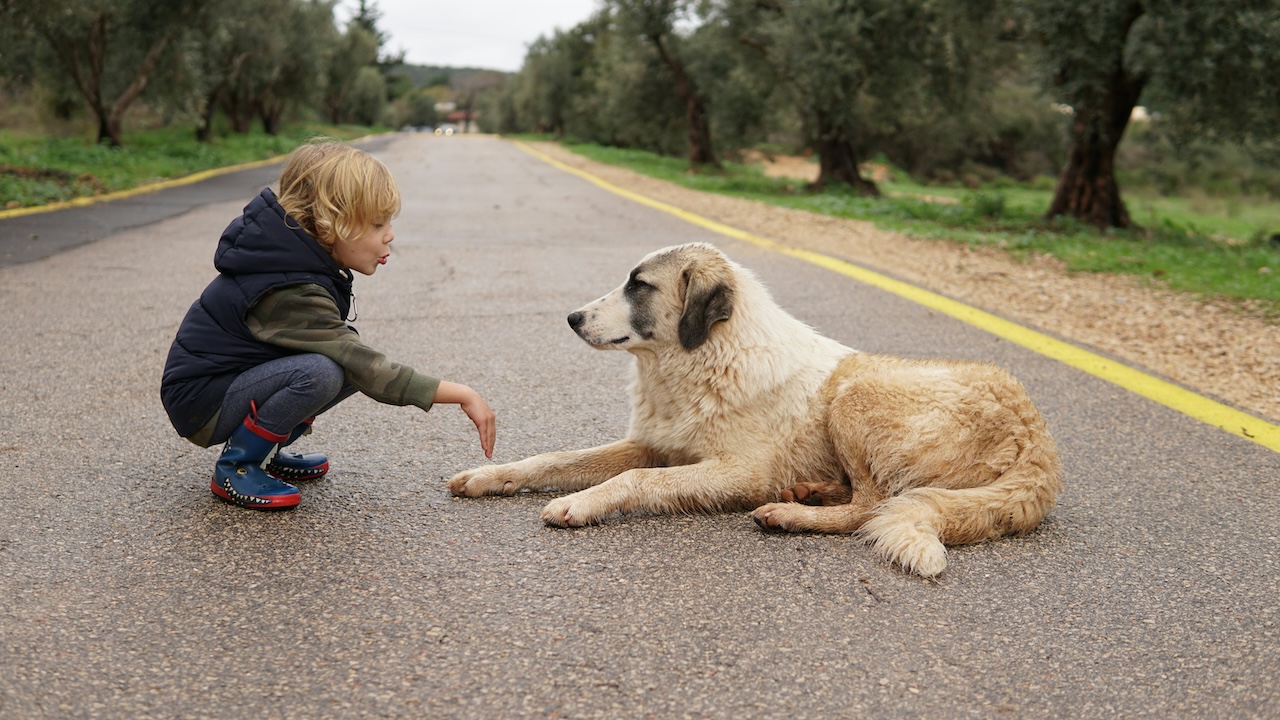 Image of a girl talking to a dog